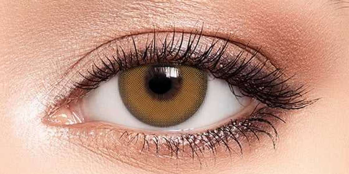 Brown Eyes and Brown Contacts: A Stylish Duo for Everyday Looks