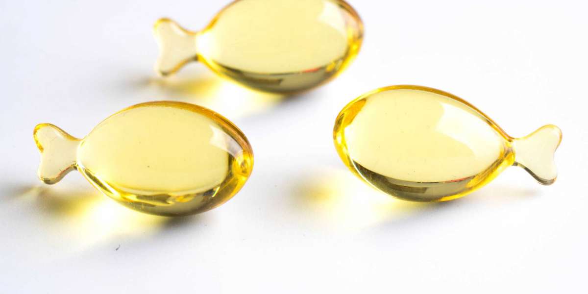 Omega 3 Ingredients Market Share, Size, Outlook and Report 2025-2033
