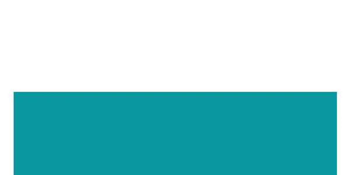 Elevate Your Brand with the Best Marketing Agency Florida Has to Offer