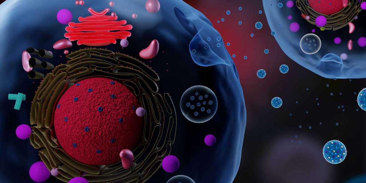 How Dynamic Light Scattering Platforms Transform Molecular Research