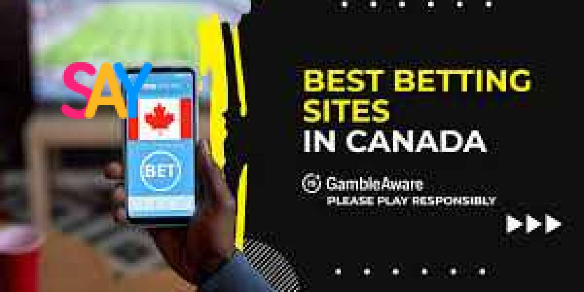 Finding the Ideal Sports Betting Sites: What You Should Know