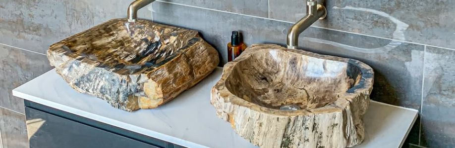 The Stone Sink Company Cover Image