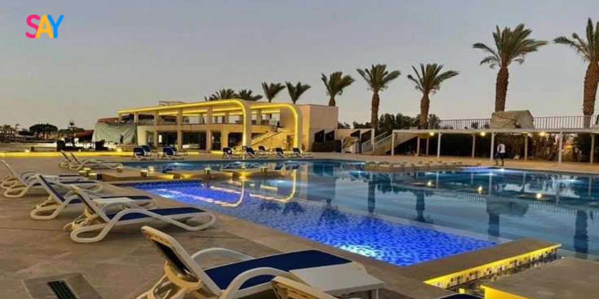 Ausflug in Ägypten: Faszinierende Erlebnisse zwischen Wüste, Geschichte und Meer