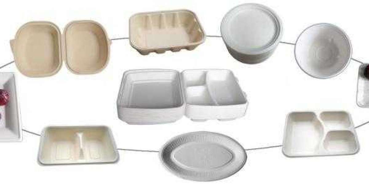 Bagasse Tableware Products Market 2025 | Increasing Demand for Efficient Management Practices Report 2035