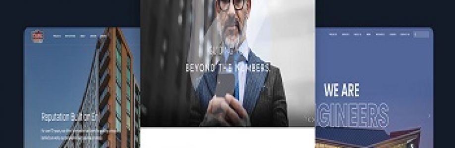 bridgeweb11 Cover Image