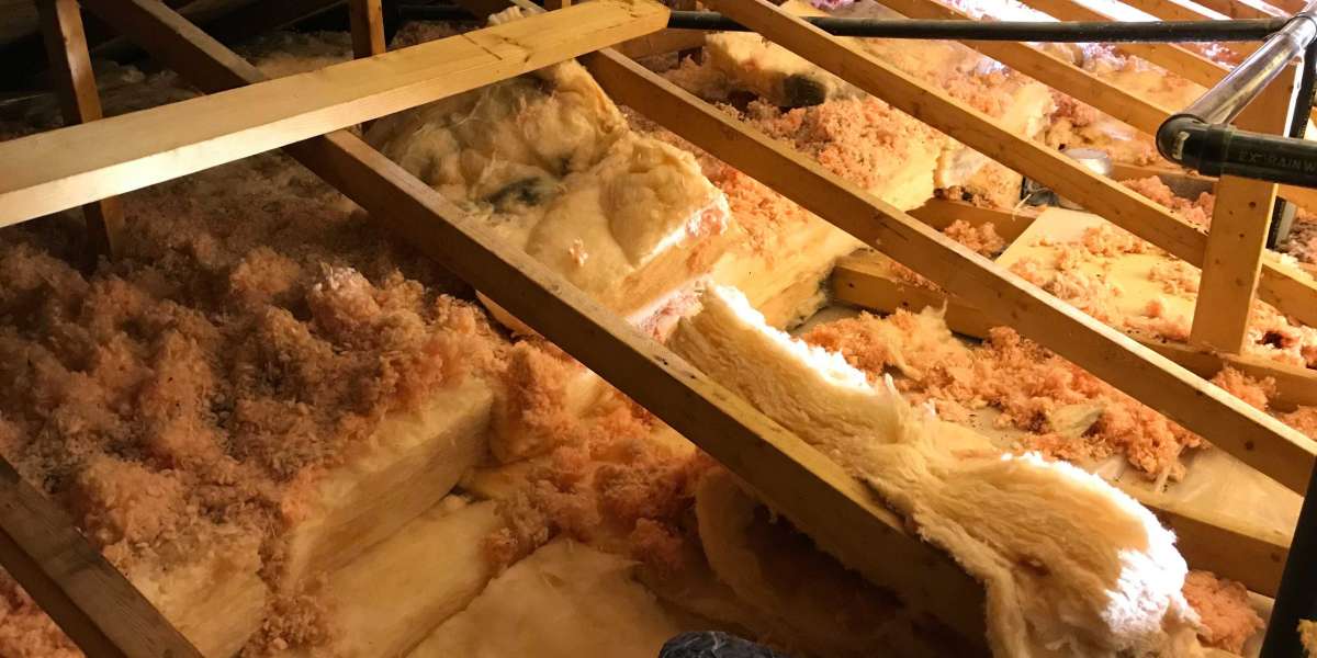 How Insulation Removal Helps Improve Your Home's Energy Efficiency