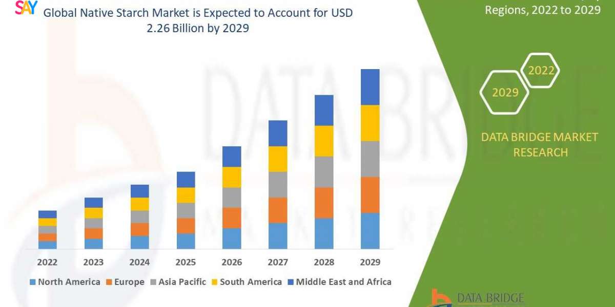 Native Starch Market Overview, Growth Analysis, Trends and Forecast By 2029