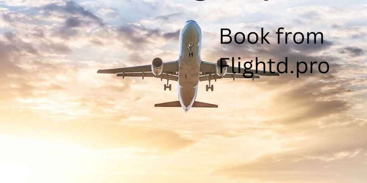 Exploring Flightd: Your partner in seamless air travel
