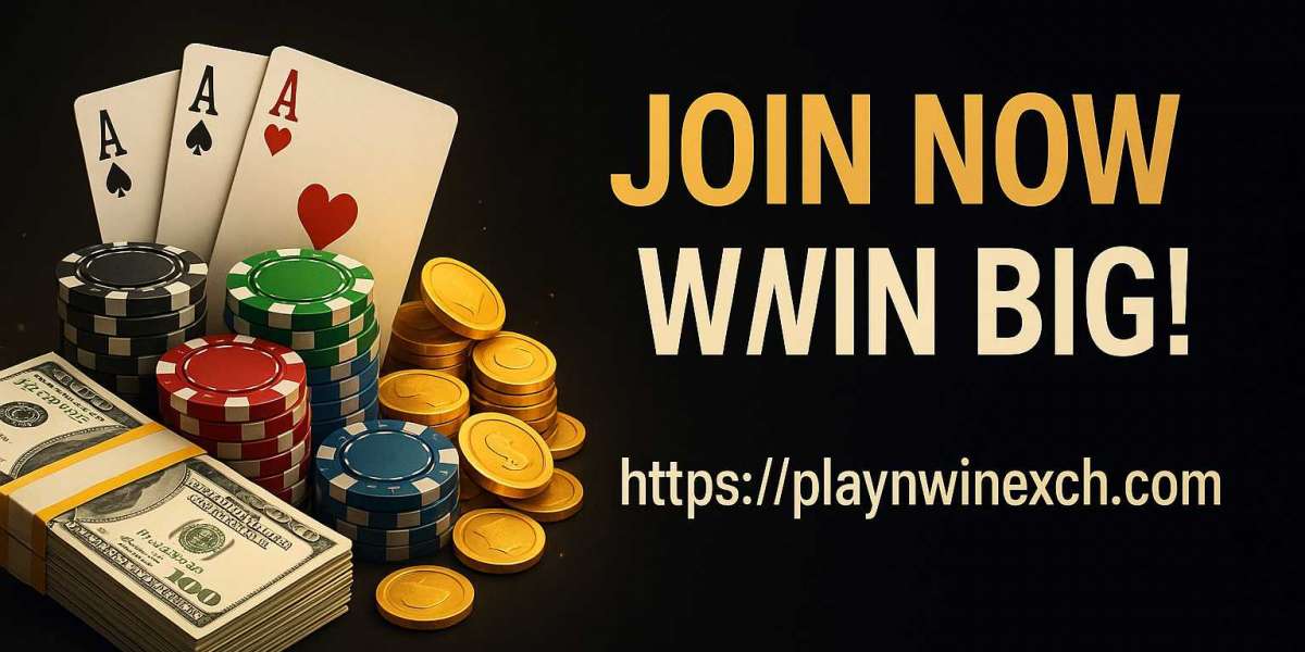Playnwin – Your Premier Online Betting Exchange