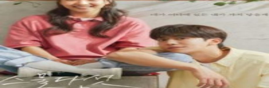 Phim Gi Cover Image