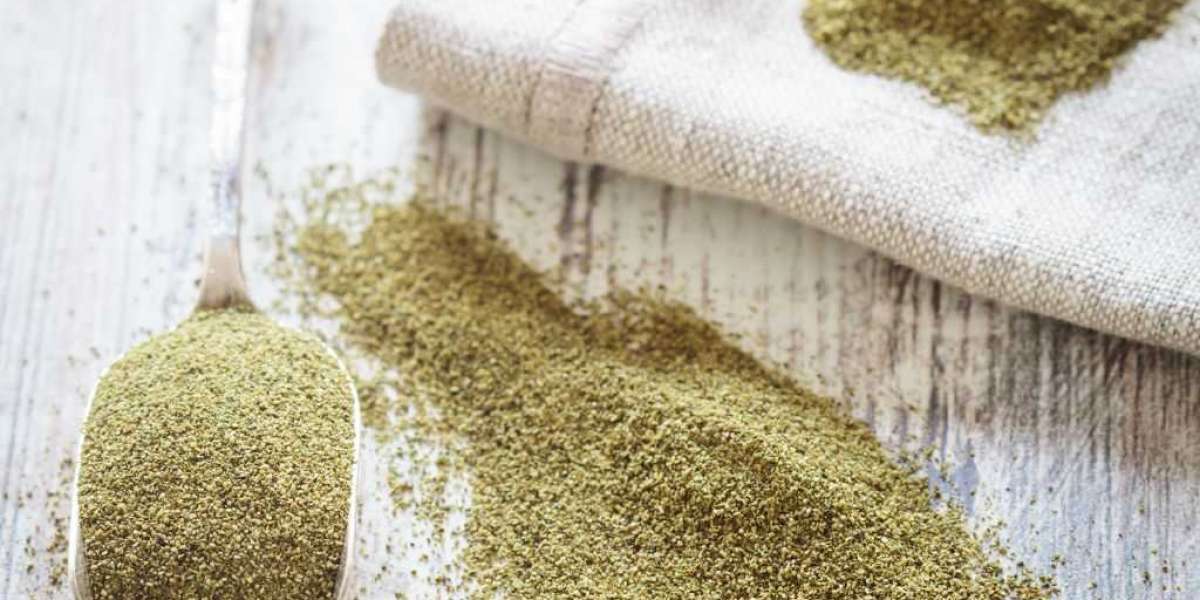 Kelp Powder Manufacturing Plant Cost and Requirements Report to Setting up an Unit
