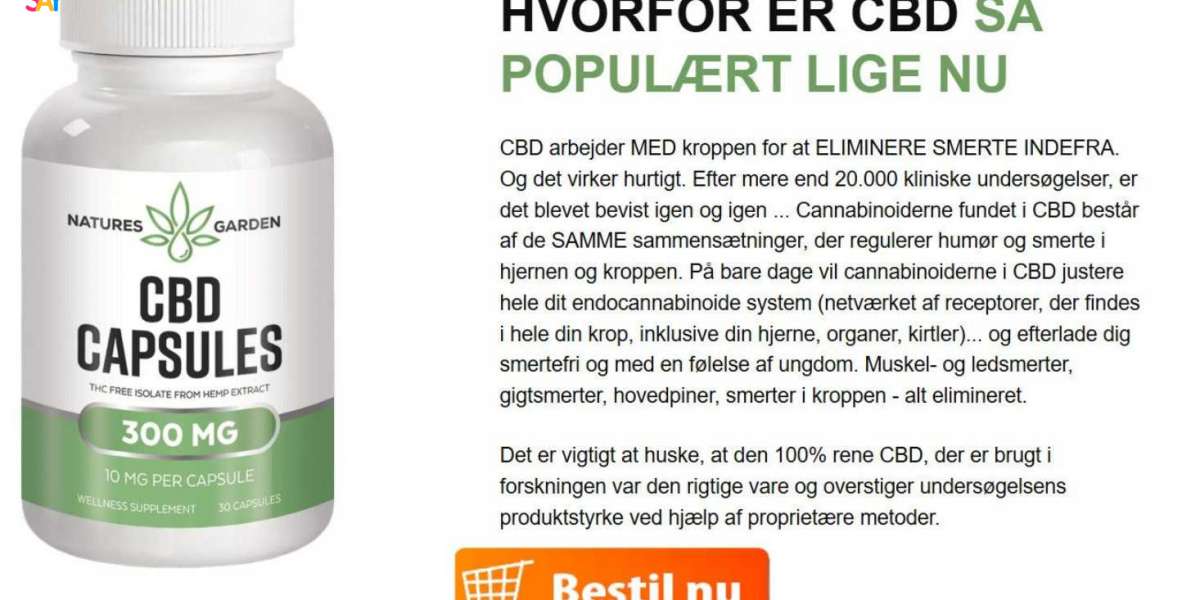 Natures Garden CBD Kapsler Anmeldelse 2025: Hjælper De mod Stress?