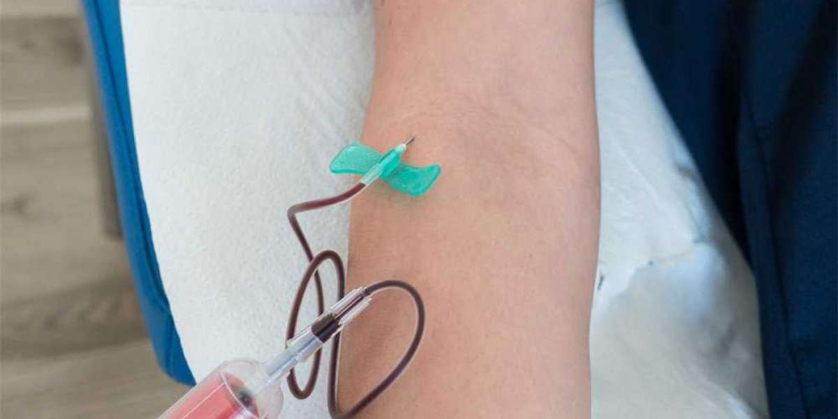 Benefits and Uses of Scalp Vein Needle in Medical Care