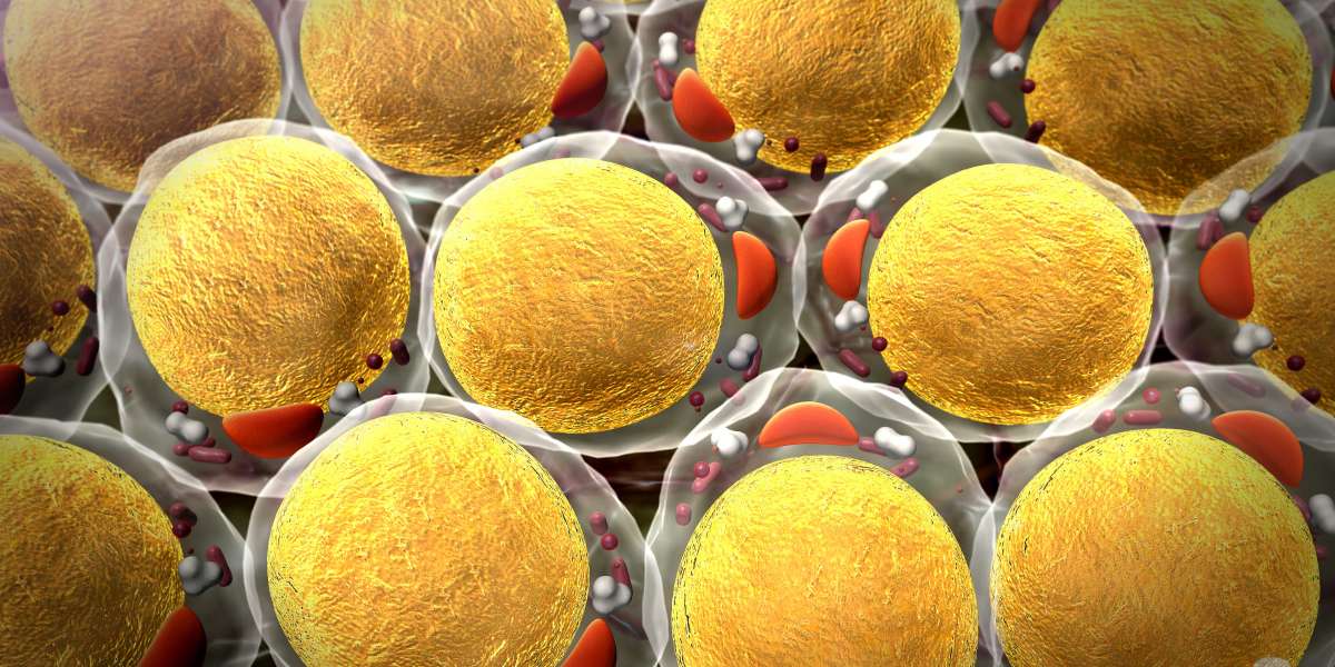 How ChiRP and ChiRP-MS Illuminate RNA-Chromatin Dynamics