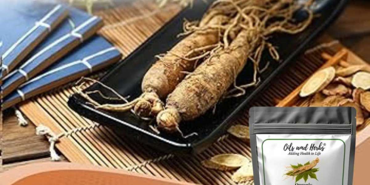 Best Red Korean Ginseng Powder Extract for Energy and Stamina