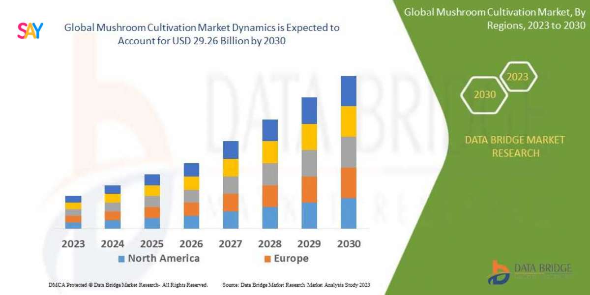 Mushroom Cultivation Market Thrives Amid Rising Demand for Plant-Based Nutrition and Sustainable Farming Practices