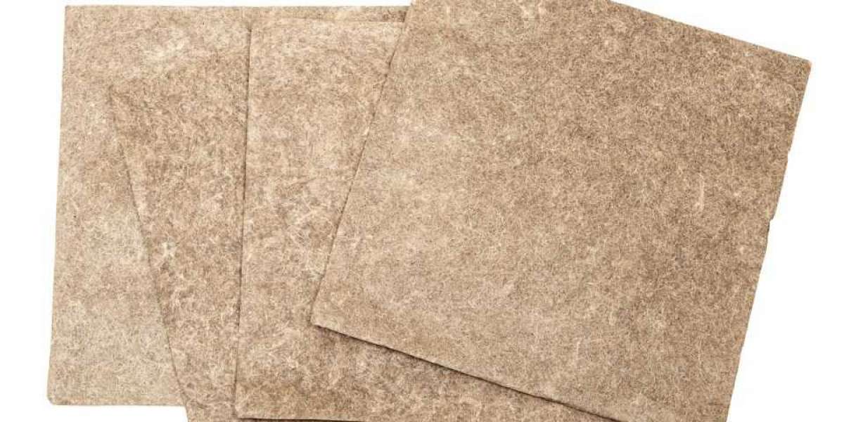 Banana Paper Manufacturing Project Cost: Comprehensive Project Analysis and Manufacturing Process