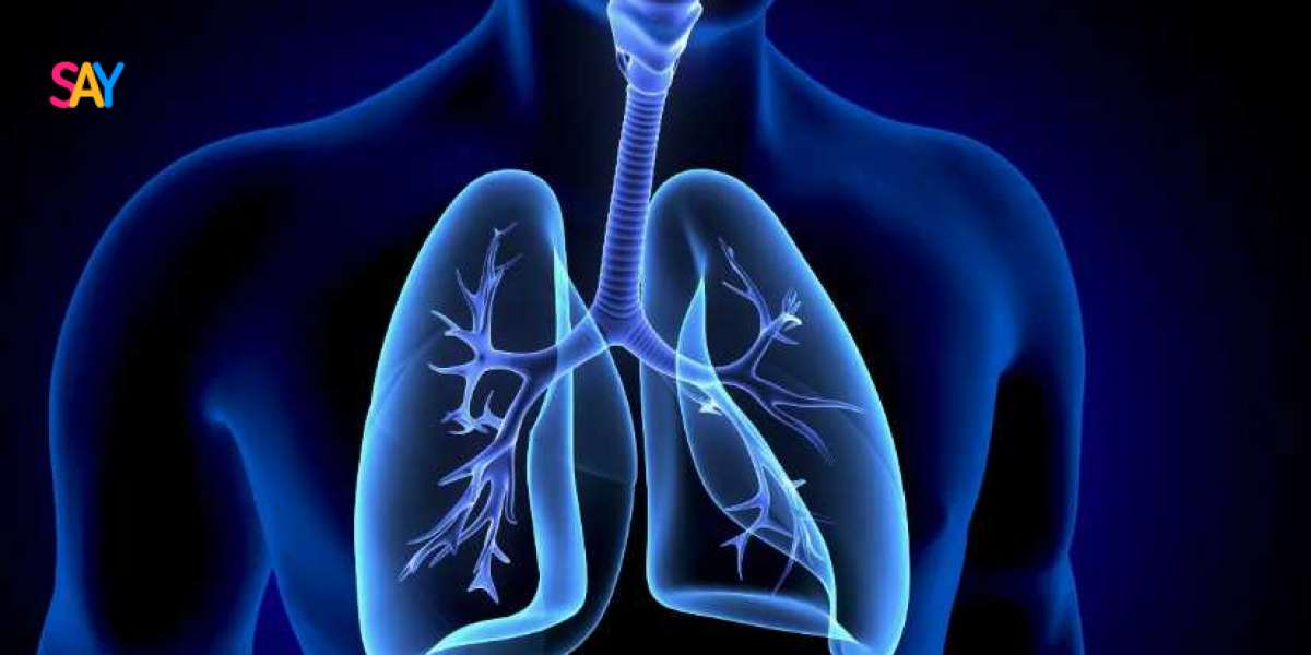 Acute Lung Injury Market Forecast: 6.9% CAGR Through 2031