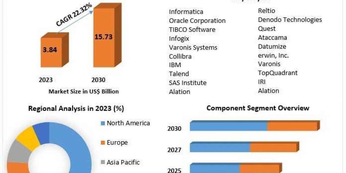 Data Governance Market Key Players, Industry Analysis, Segments, Drivers and Trends Insight On Scope and forecast 2030