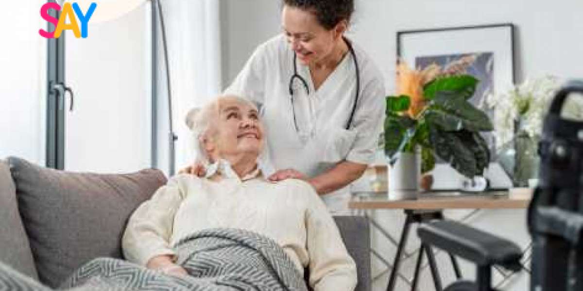 United States Home Healthcare Market Size, Growth & Trends Report 2025-2033
