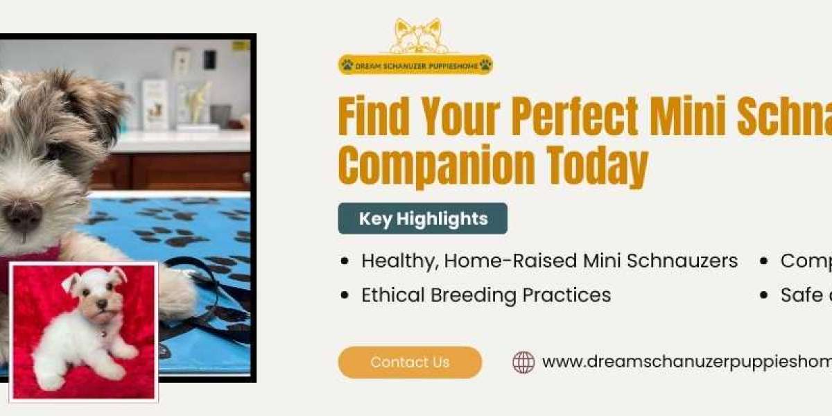 Choosing the Best Pet Shipping Companies: A Guide by Dream Schnauzer Puppies Home