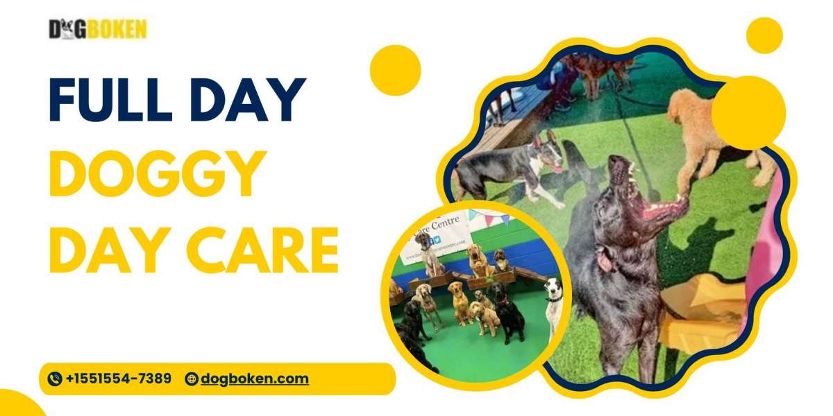 How Full Day Daycare Activity Helps Maintain Better Dog Behavior at Home