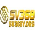 sv368y org Profile Picture
