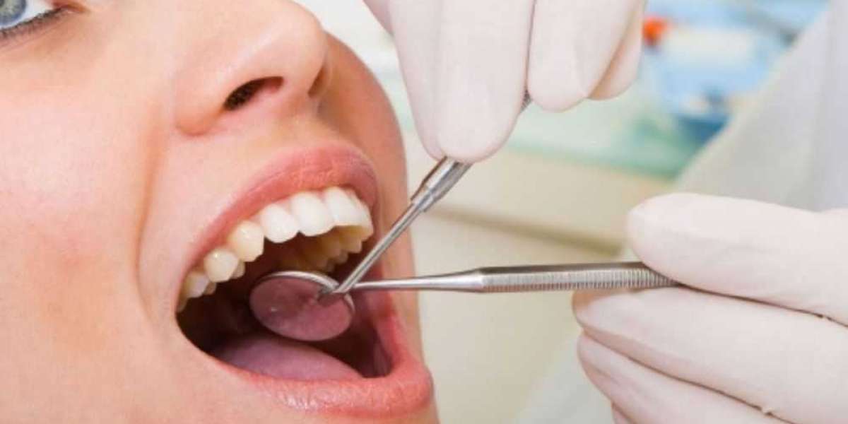 Top-Rated Dentist in Tampa, FL – Your Smile Deserves the Best Care