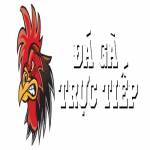 Đá Gà Trực Tiếp Profile Picture