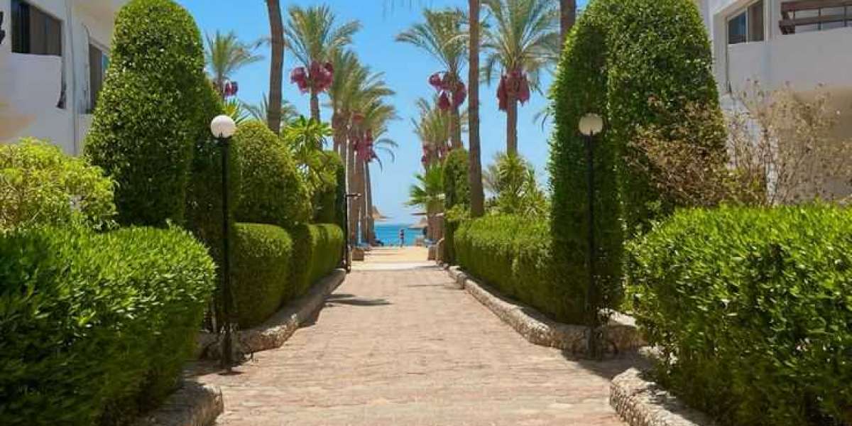 Acvariul Mare din Hurghada – O Lume Subacvatică în Inima Deșertului