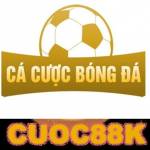 Cá cược bóng đá Profile Picture
