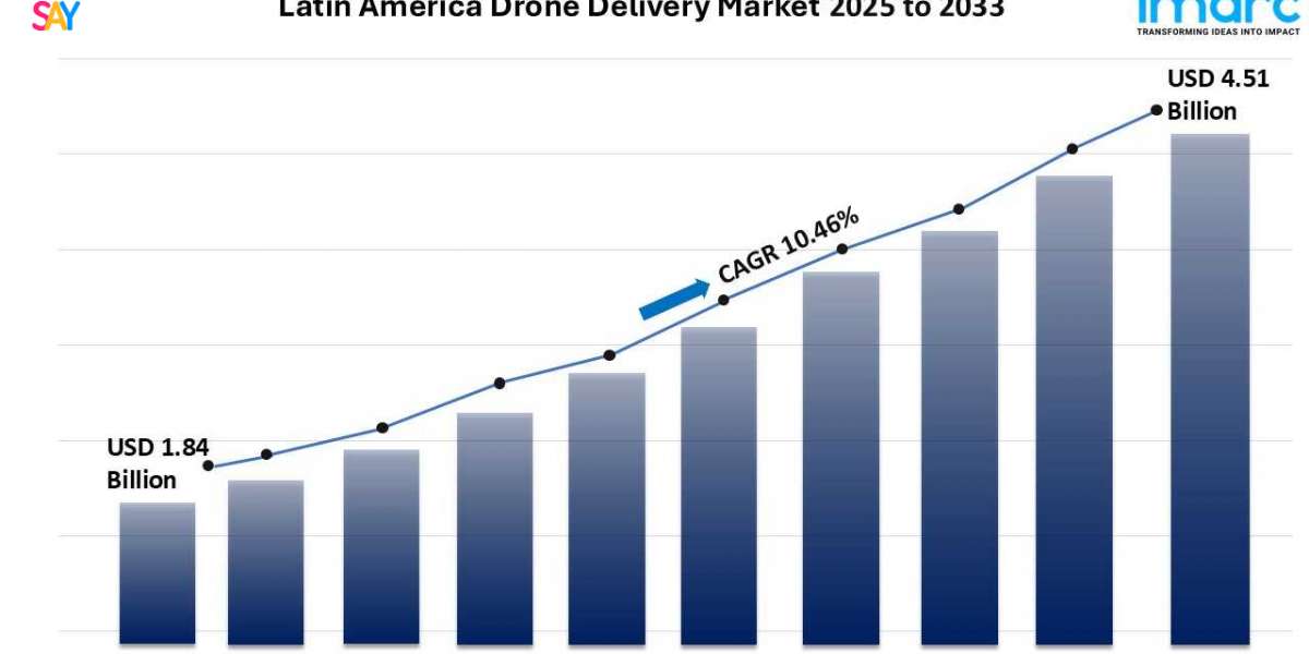 Latin America’s Drone Delivery Market: Key Players, 2025-2033