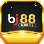 BJ88 diy Profile Picture