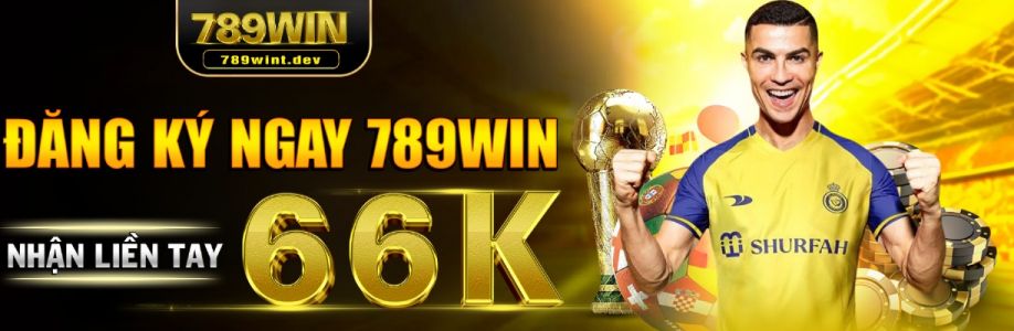 789WINt dev Cover Image