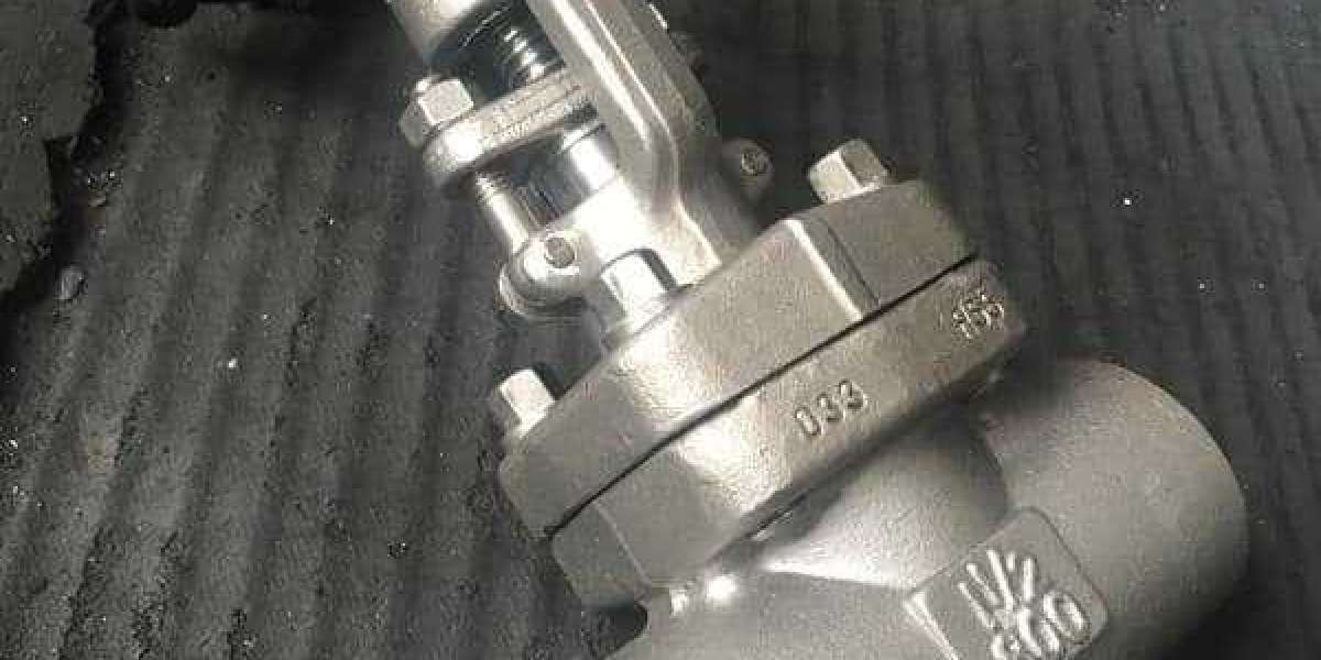 Check Valve Manufacturers in India