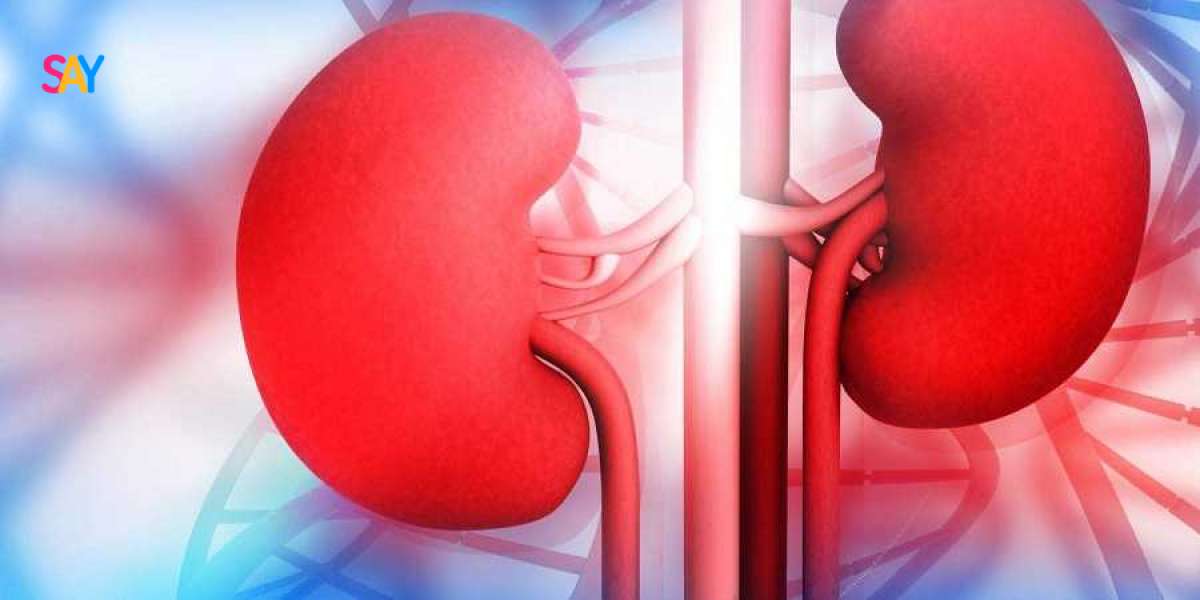 Best Ayurvedic Treatments for Kidney Disease: Expert Guide and Remedies