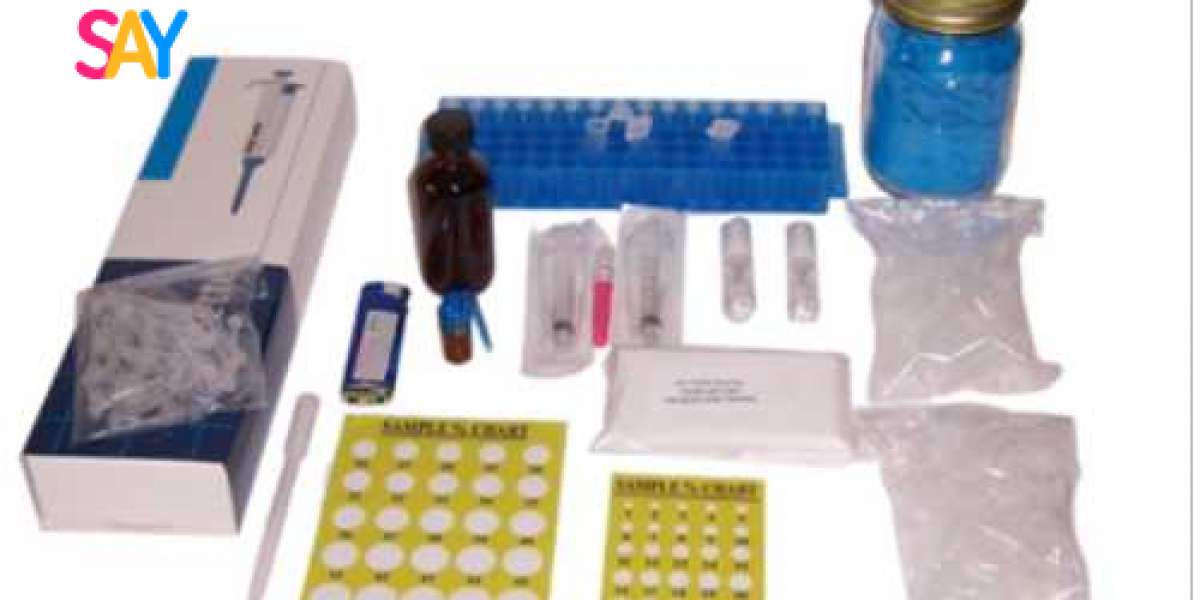 Behind the Scenes: How THC Test Kits Are Developed and Validated