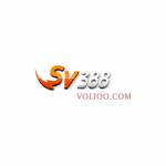 SV388 volioo Profile Picture