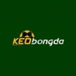 Keo Bong Da Profile Picture