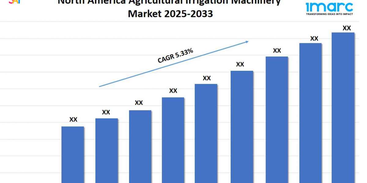 North America Active Pharmaceutical Ingredients Market Report, Share, Industry Trends and Report 2025-2033
