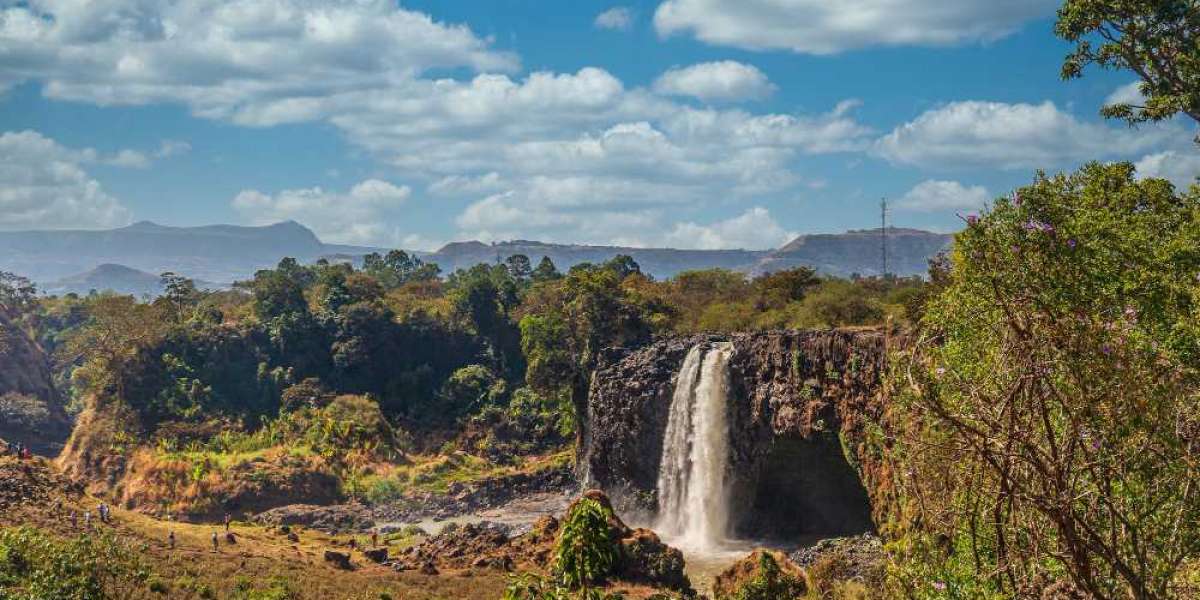 Experience the Real South Africa: Beyond the Tourist Spots