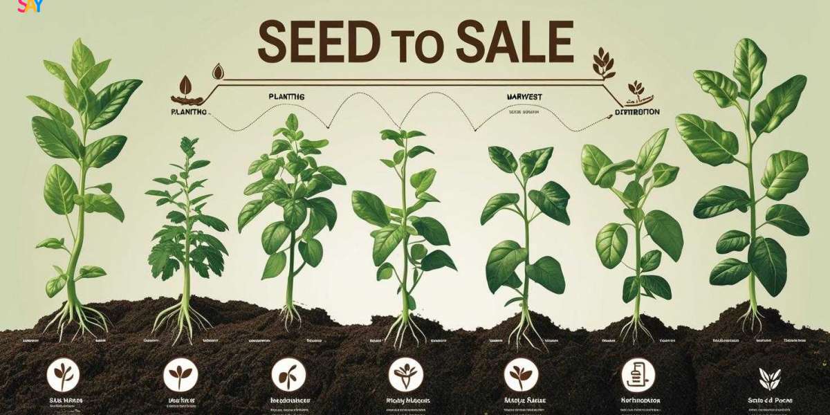Profitable Hemp Cultivation In India: from Seed to Sale