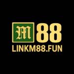 linkm88 fun Profile Picture