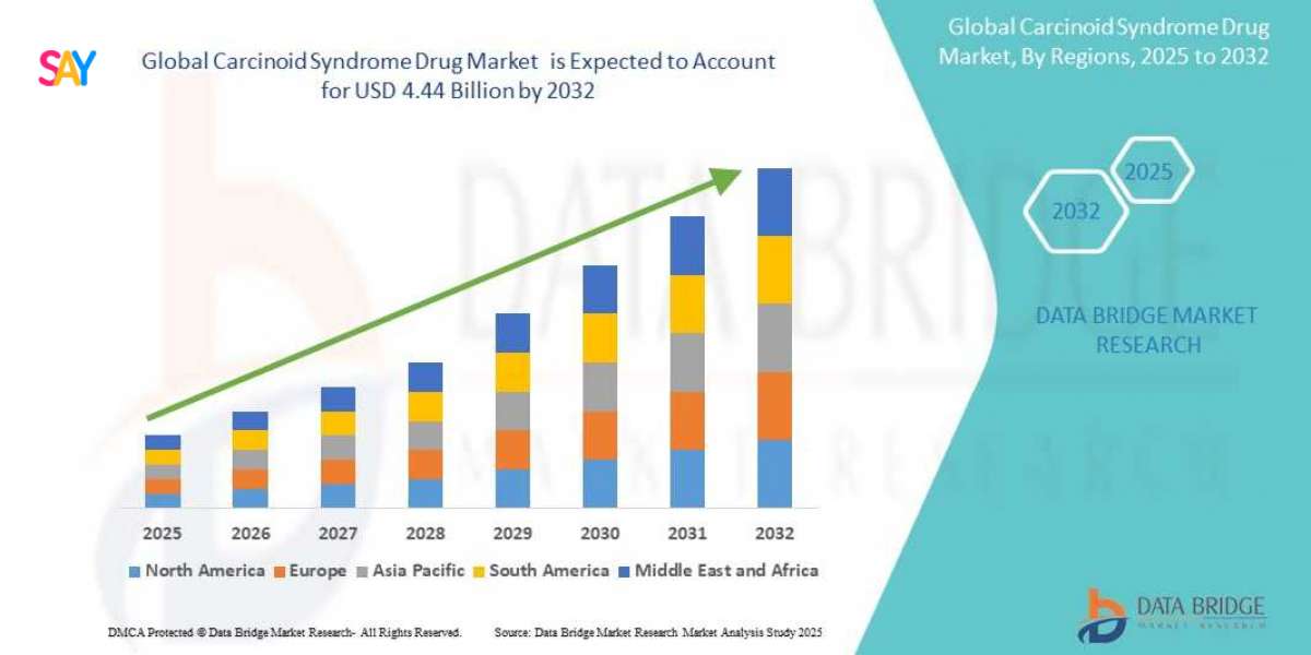 Carcinoid Syndrome Drug Market Overview: Trends, Challenges, and Forecast 2025 –2032