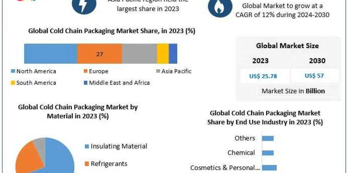 Cold Chain Packaging Market Size, Share & Global Forecast 2024–2030