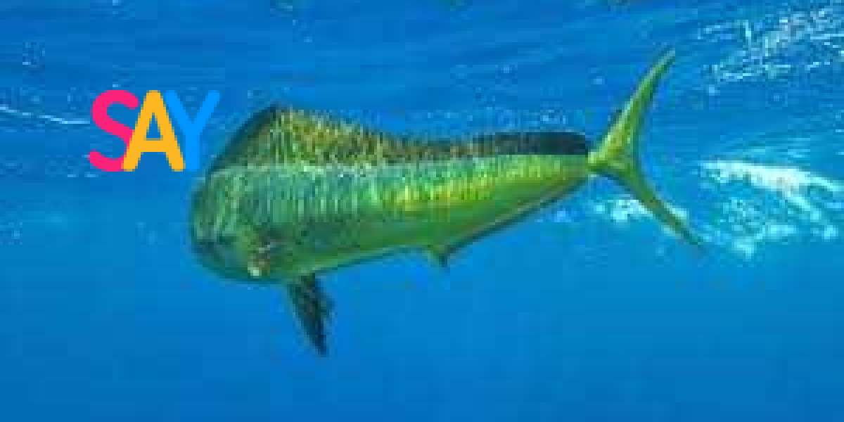 Discover the Delicious and Nutritious Benefits of Mahi Mahi