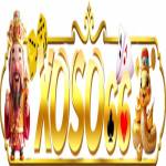 xoso661 org Profile Picture