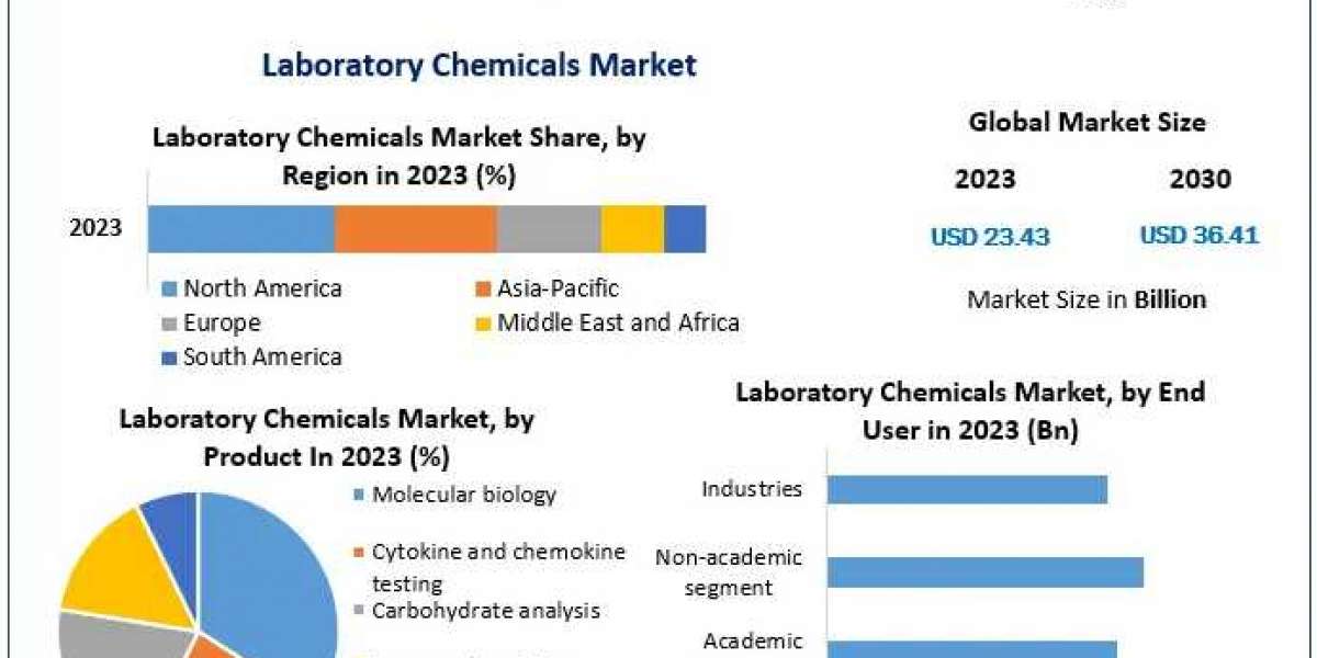 Laboratory Chemicals Market Dynamics and Strategic Developments 2030