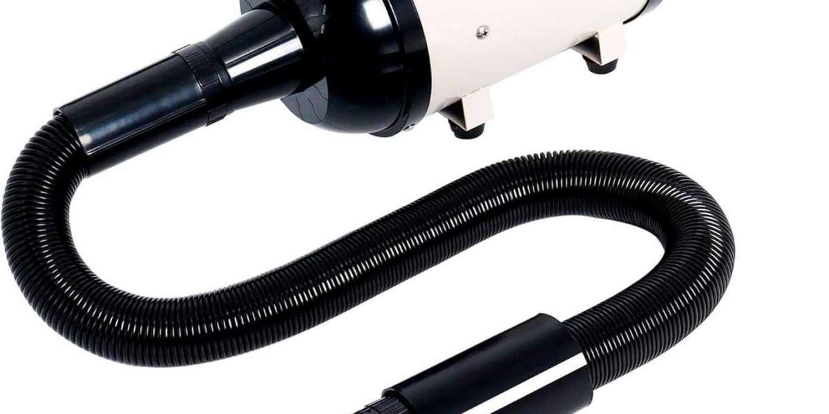 What Makes Pawtechpet Smart Pet Water Blower Unique?
