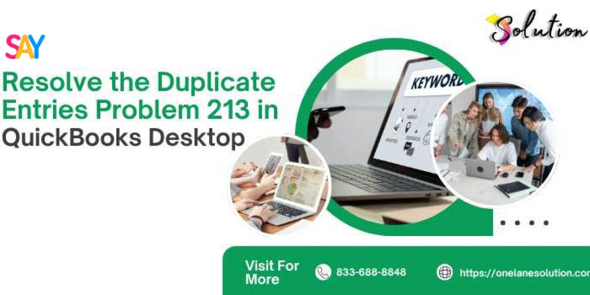 How to Fix Entries Problem 213 in QuickBooks Desktop